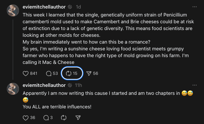 Evie Mitchell Mac & Cheese